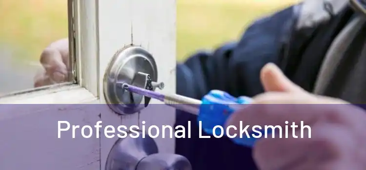  Professional Locksmith 